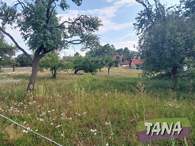 Prodej podílu 1/2  zahrady 2 566 m²