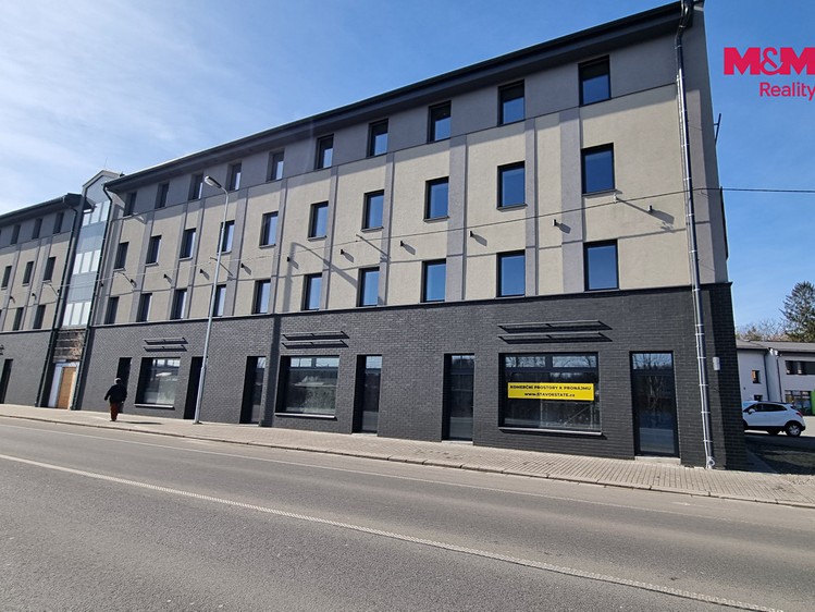 Pronájem komerčního prostoru, 146 m² (15 z 15)