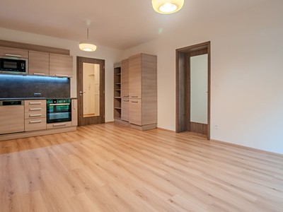 Wohnung 2+kk zur Miete, 47 m² (2 von 22)