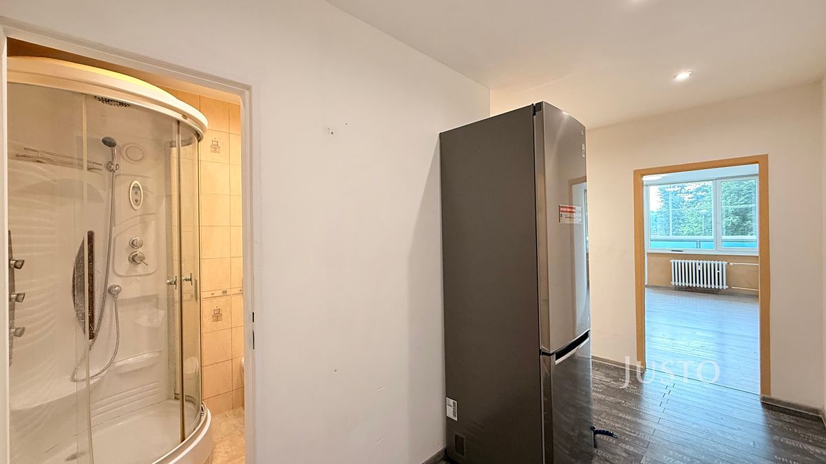 Pronájem bytu 1+1 34 m² – fotografie 4