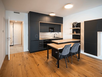 Prodej bytu 1+kk, 42 m² (3 z 15)