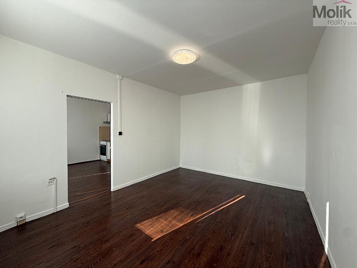 Pronájem bytu 1+1 35 m² – fotografie 5