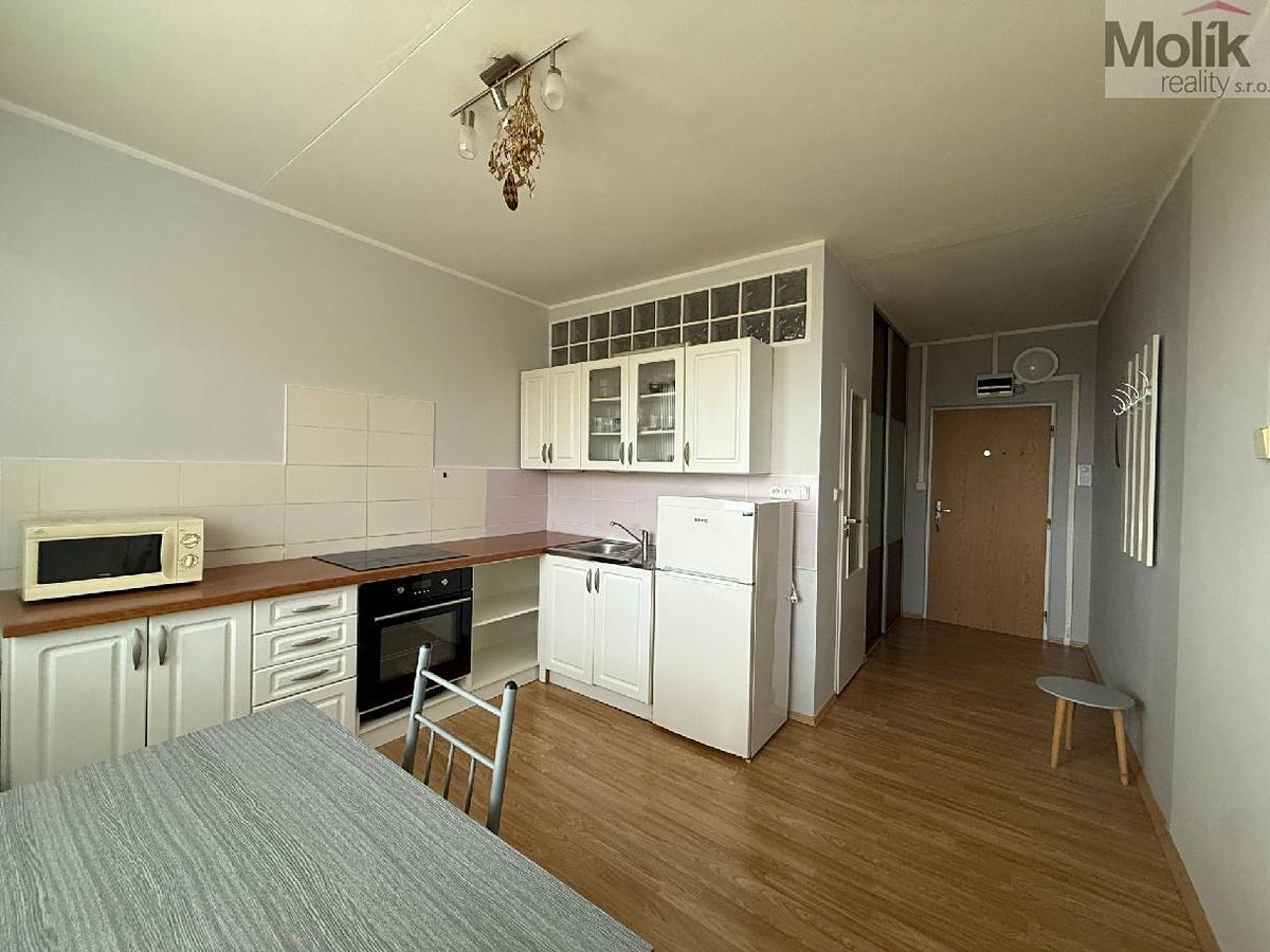 Pronájem bytu 1+1 35 m²