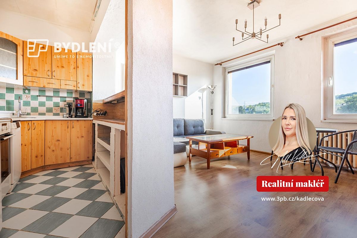 Pronájem bytu 2+kk 46 m²