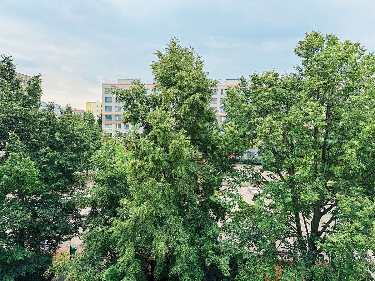 Pronájem bytu 3+1 80 m² – fotografie 4