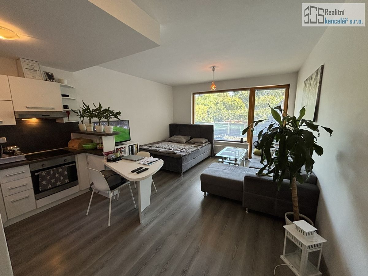 Pronájem bytu 1+kk 58 m²