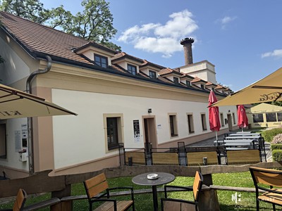 Pronájem kanceláře 19 m²