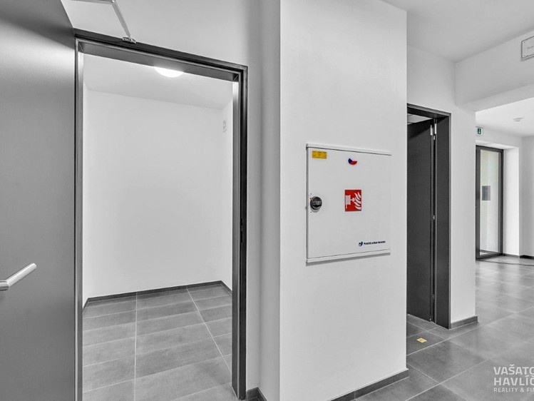Pronájem bytu 3+1, 188 m² (21 z 32)