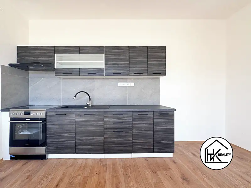 Pronájem bytu 1+1 49 m², Teplice – náhled fotky 2