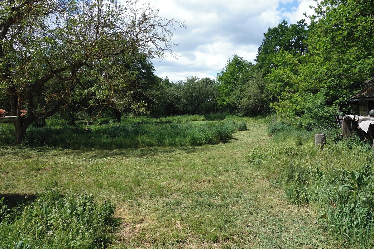 Prodej stavebního pozemku 3236 m² – fotografie 2
