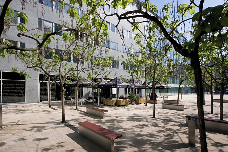 Комерційне приміщення в оренду, 375 м² (6 з 7)