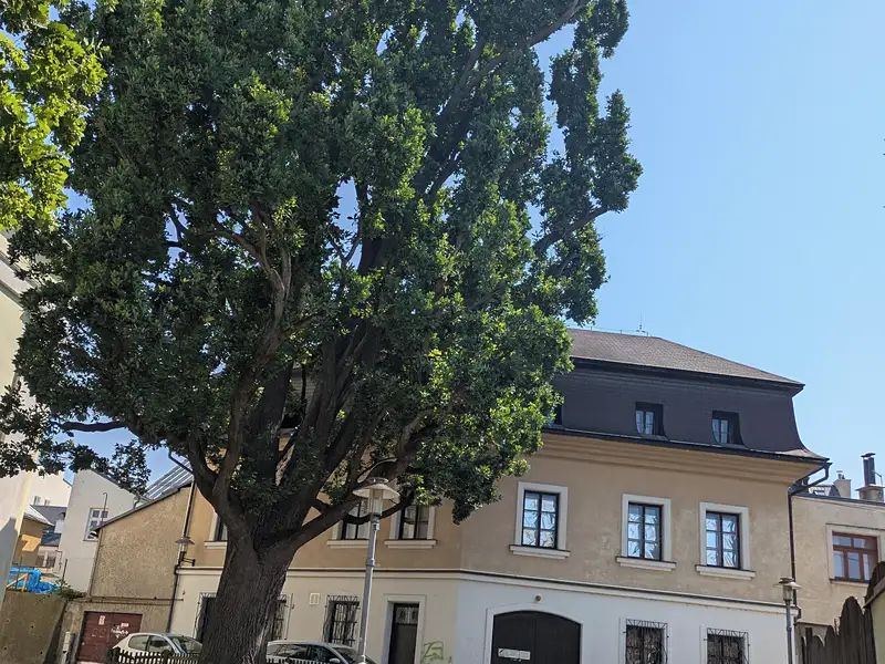Prodej komerční nemovitosti 1081 m², Turnov – náhled fotky 1