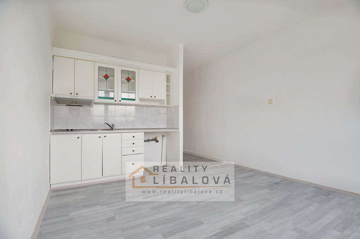 Pronájem bytu 1+kk 20 m² – fotografie 4