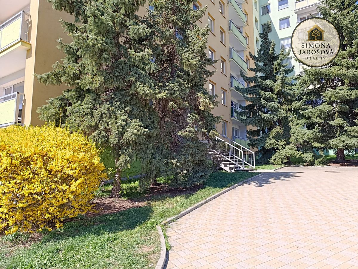 Pronájem bytu 1+kk 32 m² – fotografie 5