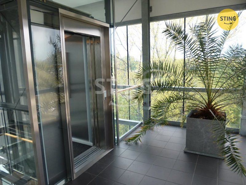 Pronájem kanceláře 252 m² – fotografie 3