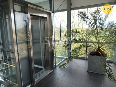 Pronájem komerčního prostoru, 252 m² (3 z 14)