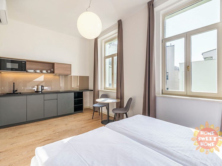 Wohnung 1+kk zur Miete, 24 m² (3 von 12)