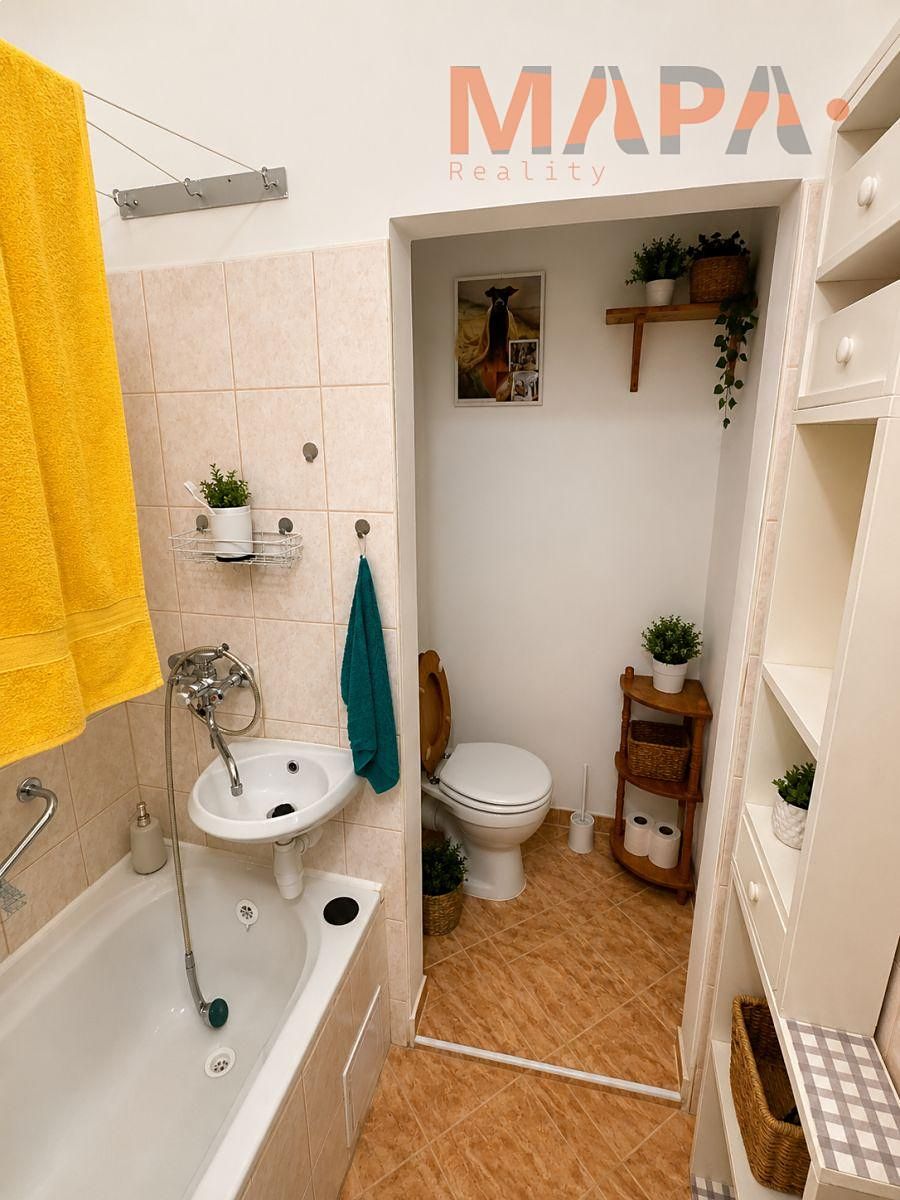 Pronájem bytu 1+1 40 m² – fotografie 5