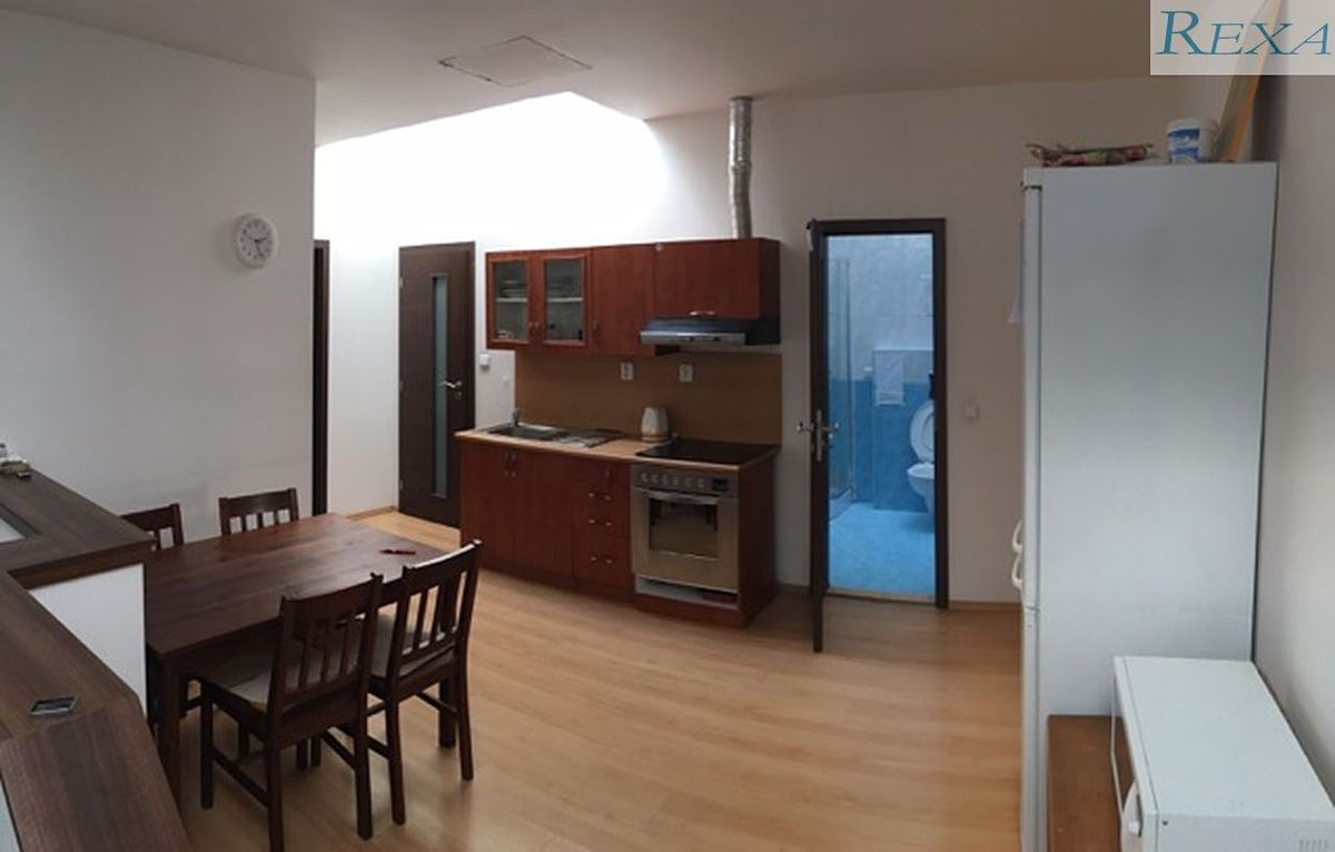 Pronájem bytu pokoje 19 m²
