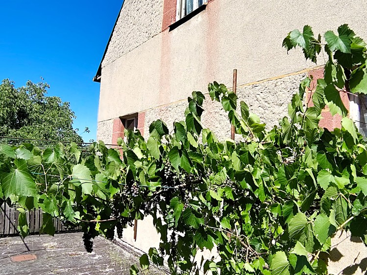 Haus zum Kauf, 220 m² (9 von 12)