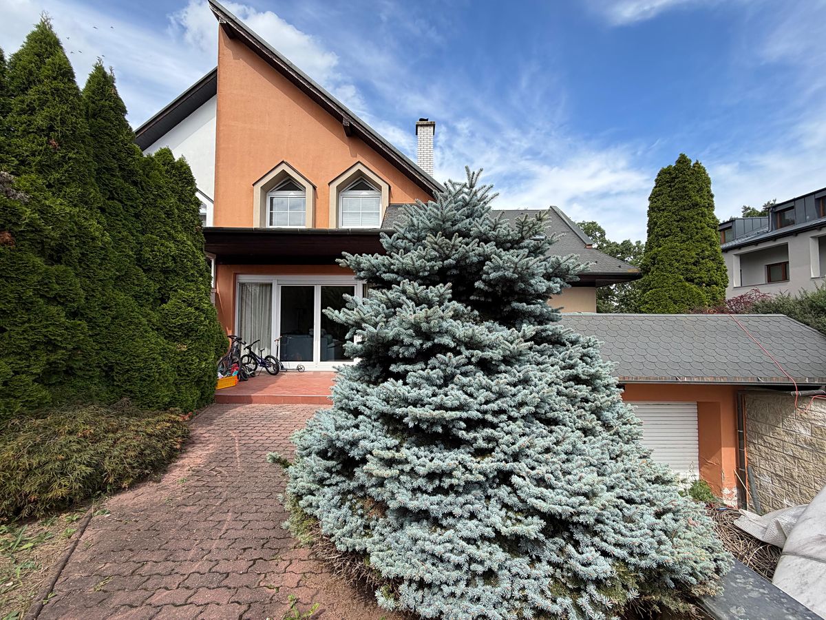 Pronájem rodinného domu 250 m², pozemek 450 m² – fotografie 3