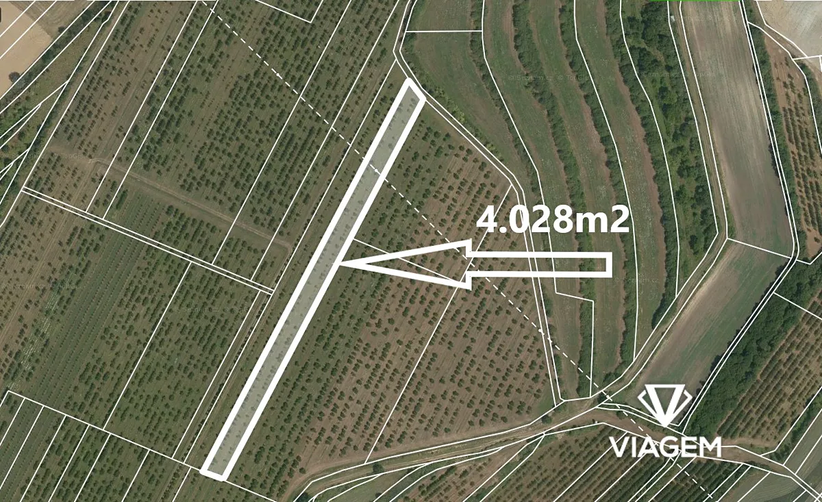 Prodej pole 4028 m²