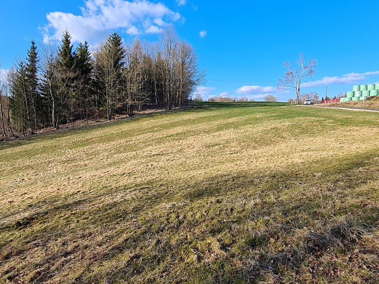 Grundstück zum Kauf, 3.213 m² (6 von 8)