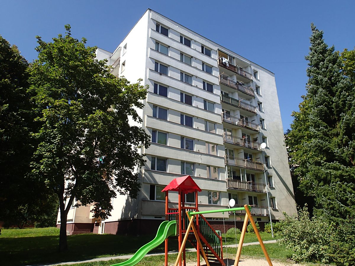 Pronájem bytu 1+1 46 m²