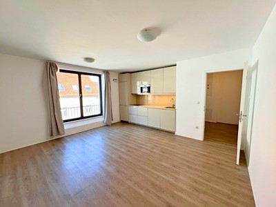 Pronájem bytu 1+kk 36 m²
