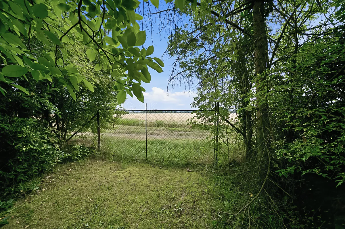 Fotka 17 z 20