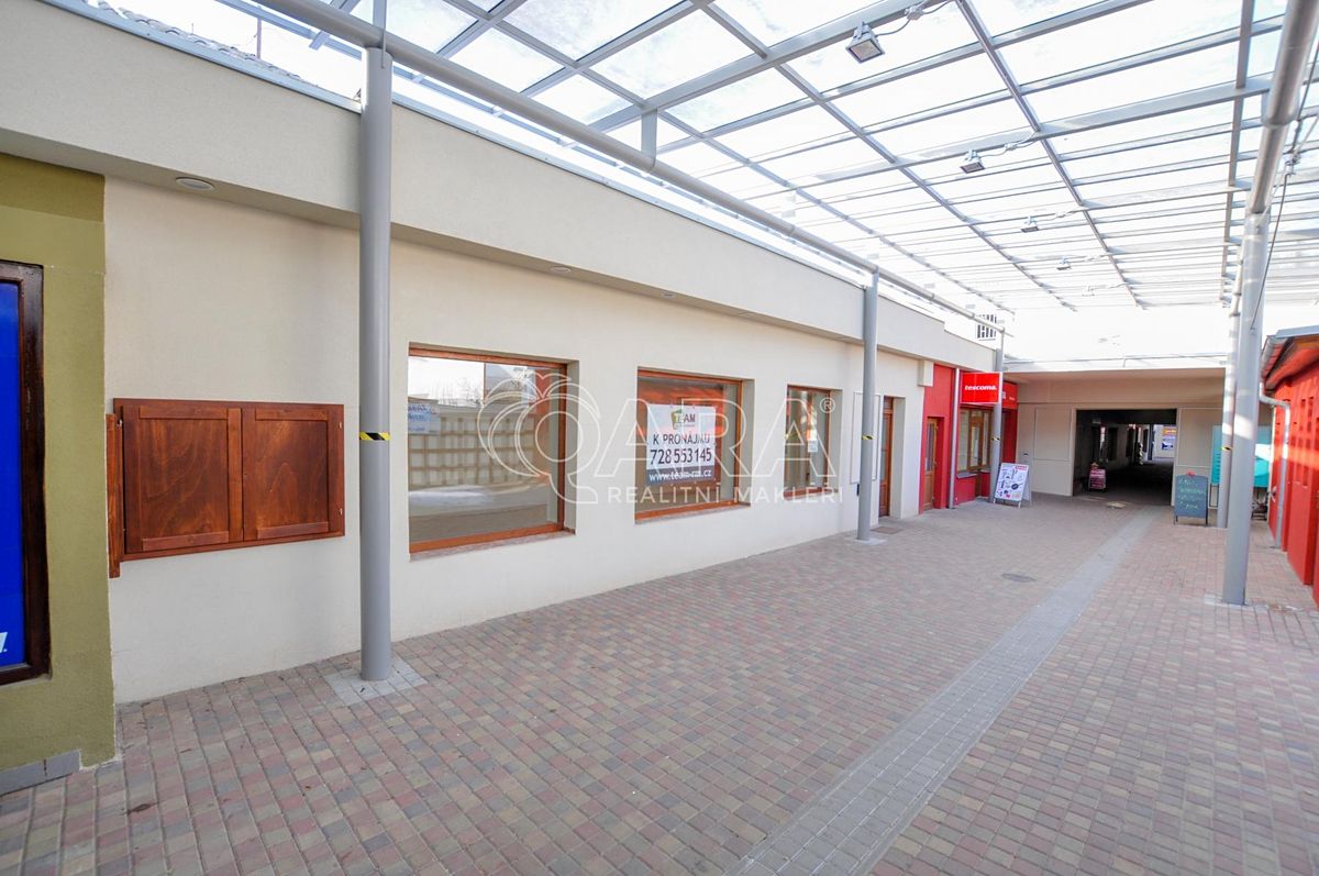 Pronájem obchodního prostoru 45 m²