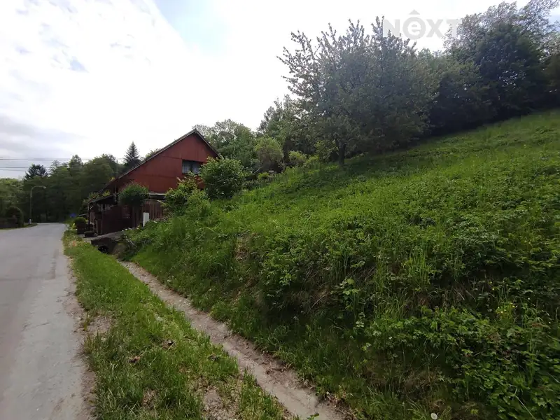 Prodej stavebního pozemku 1871 m², Javorník – náhled fotky 2