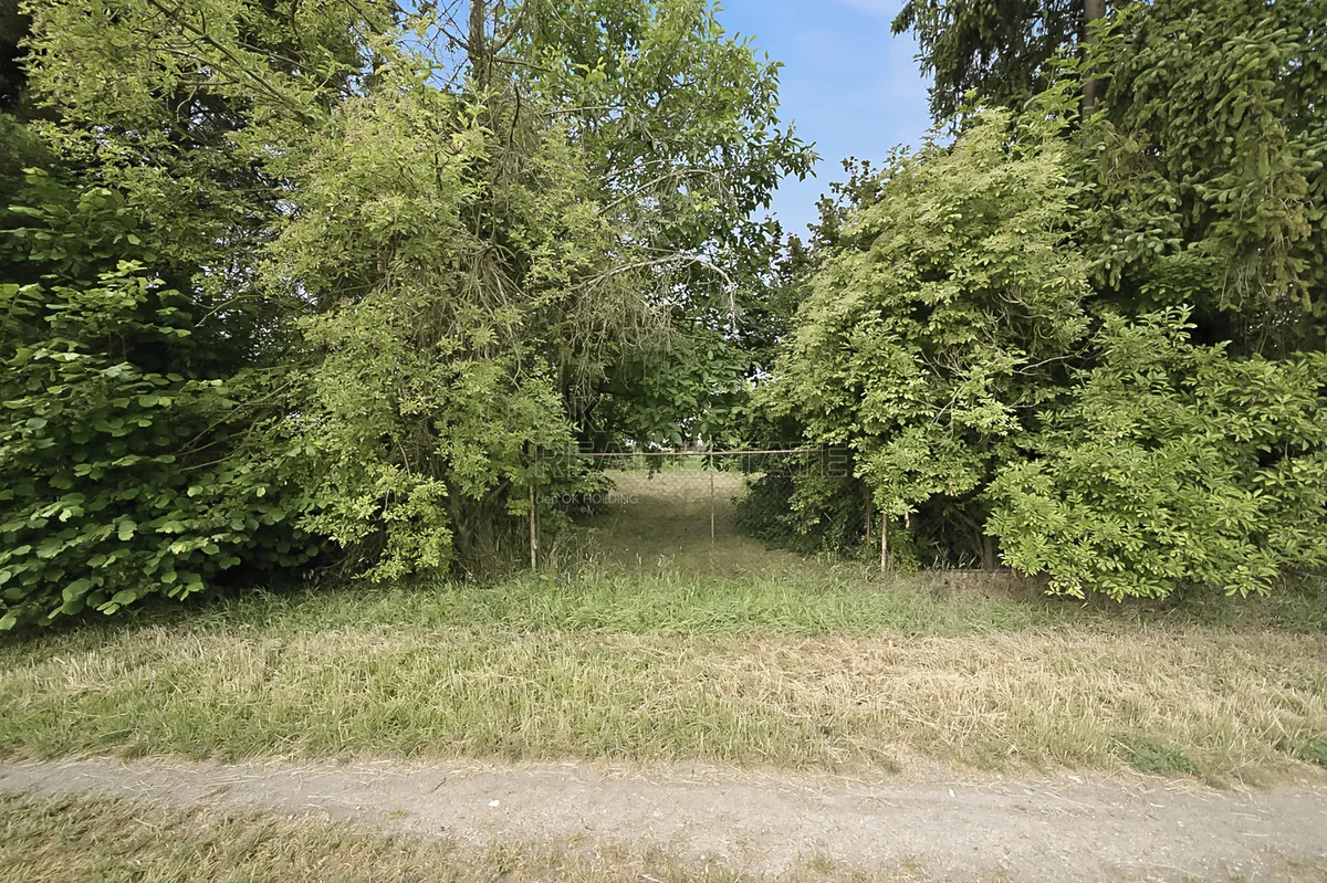 Fotka 6 z 20