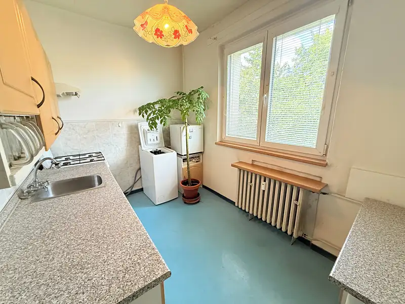 Prodej bytu 2+1 55 m², Praha – náhled fotky 2