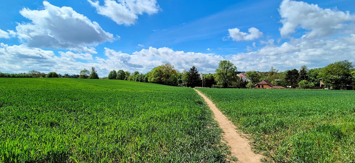Prodej stavebního pozemku 12385 m² – fotografie 2