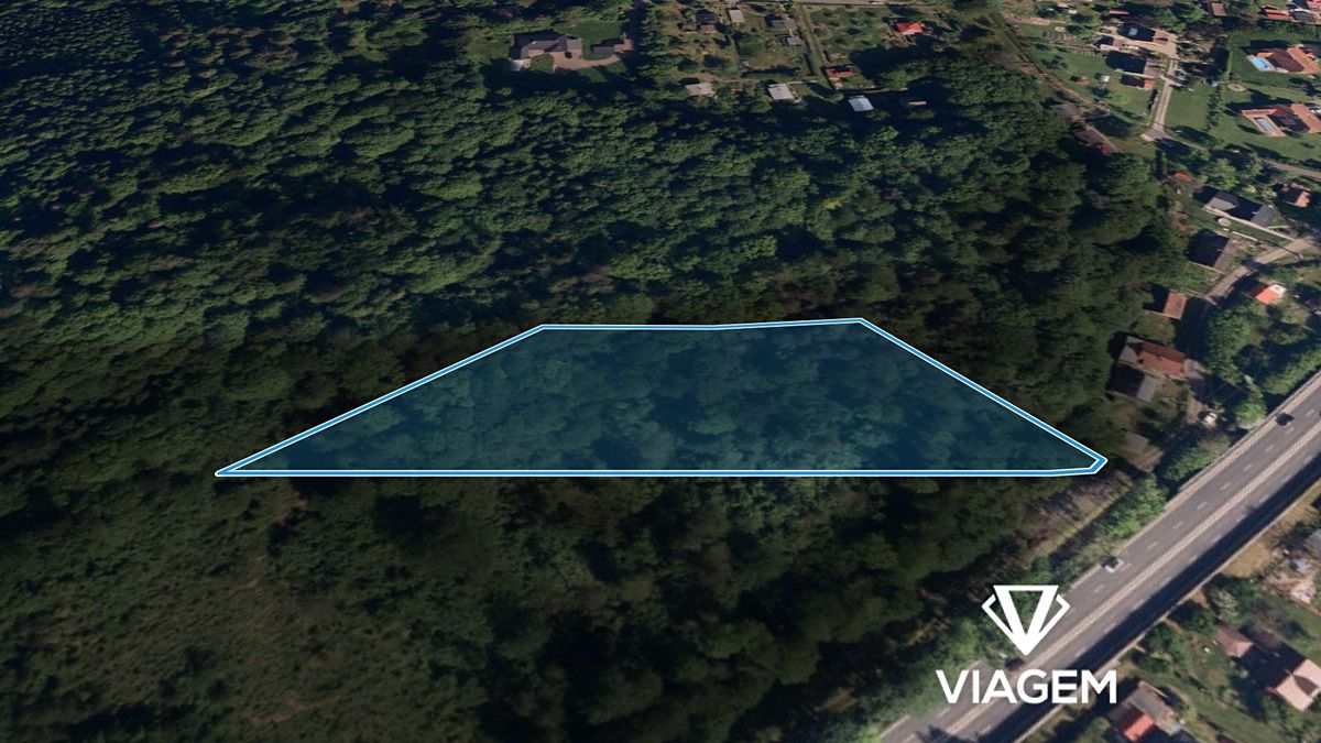Prodej lesa 15009 m² – fotografie 2