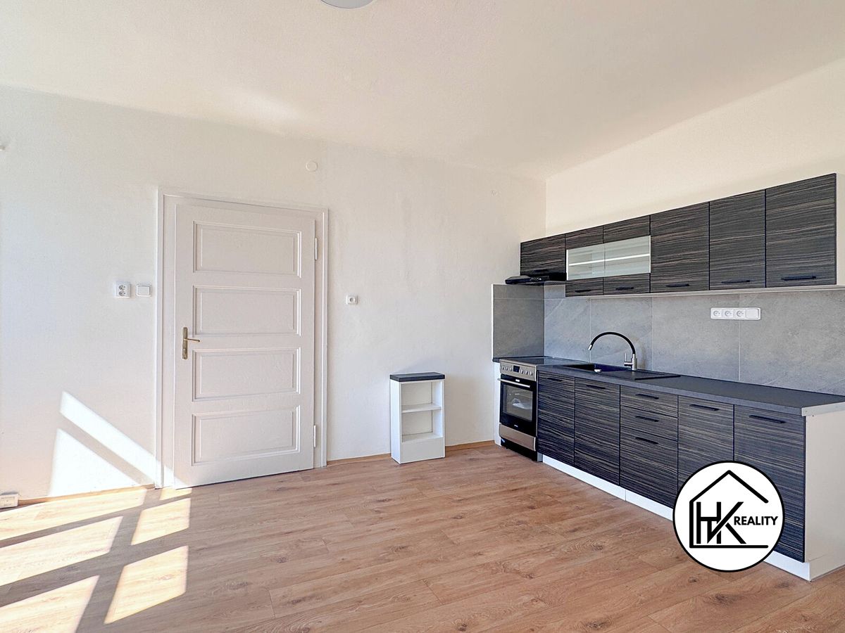 Pronájem bytu 1+1 41 m²
