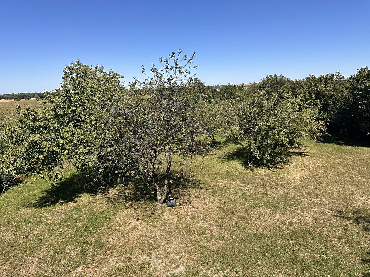 Prodej rodinného domu 180 m², pozemek 1799 m² – fotografie 5