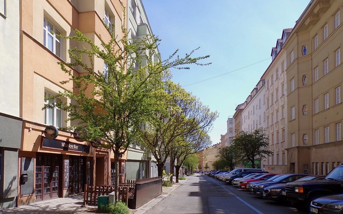 Pronájem bytu 1+1 45 m²