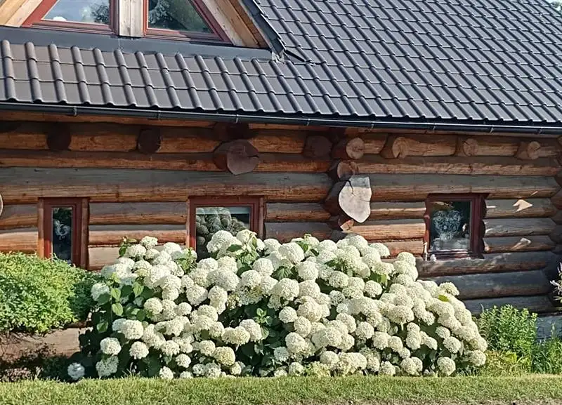 Prodej rodinného domu 150 m², pozemek 1354 m², Lešná – náhled fotky 1
