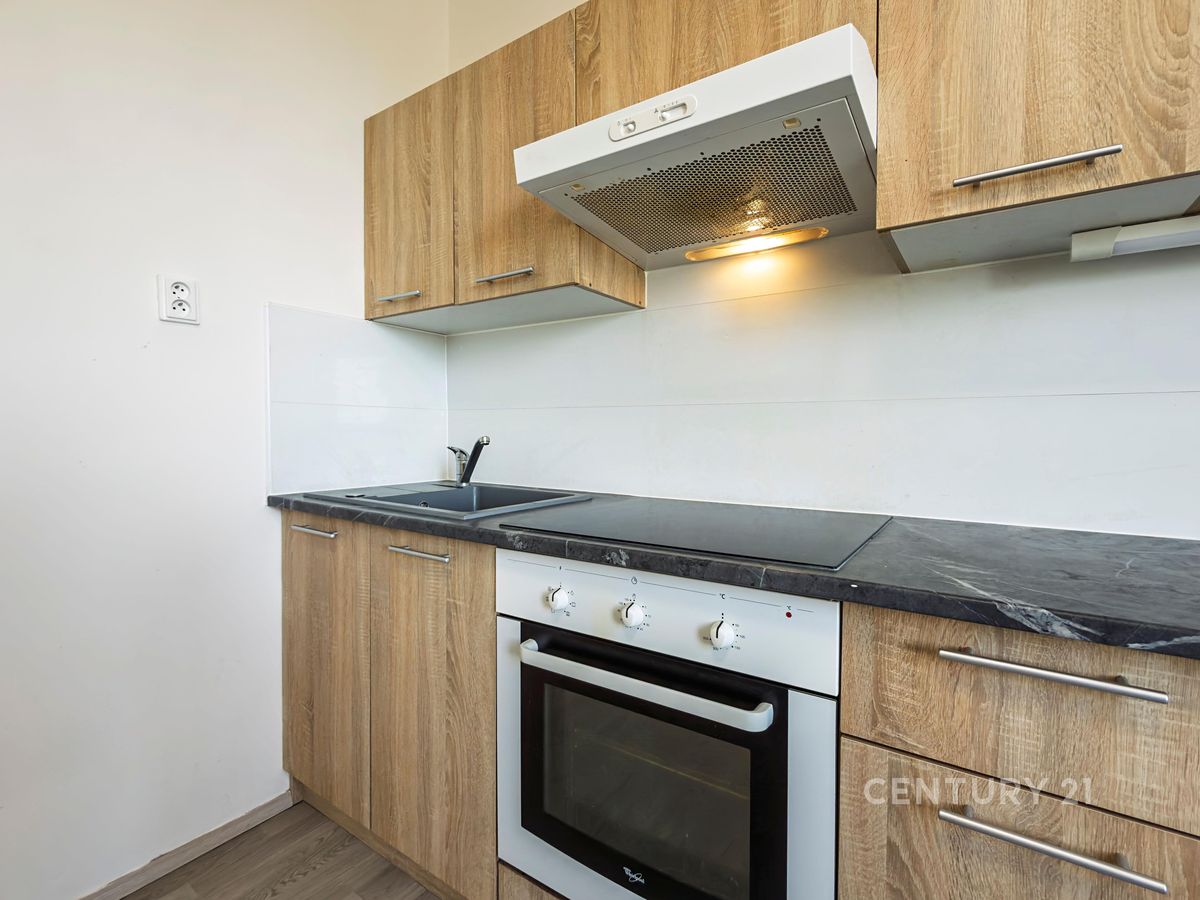 Pronájem bytu 1+1 40 m²