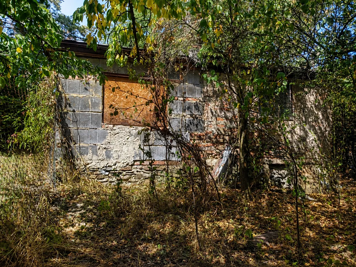 Fotka 12 z 13