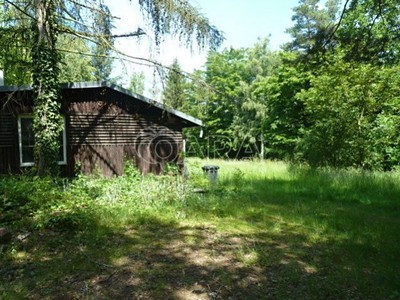 Ділянка в оренду, 4 139 м² (2 з 10)