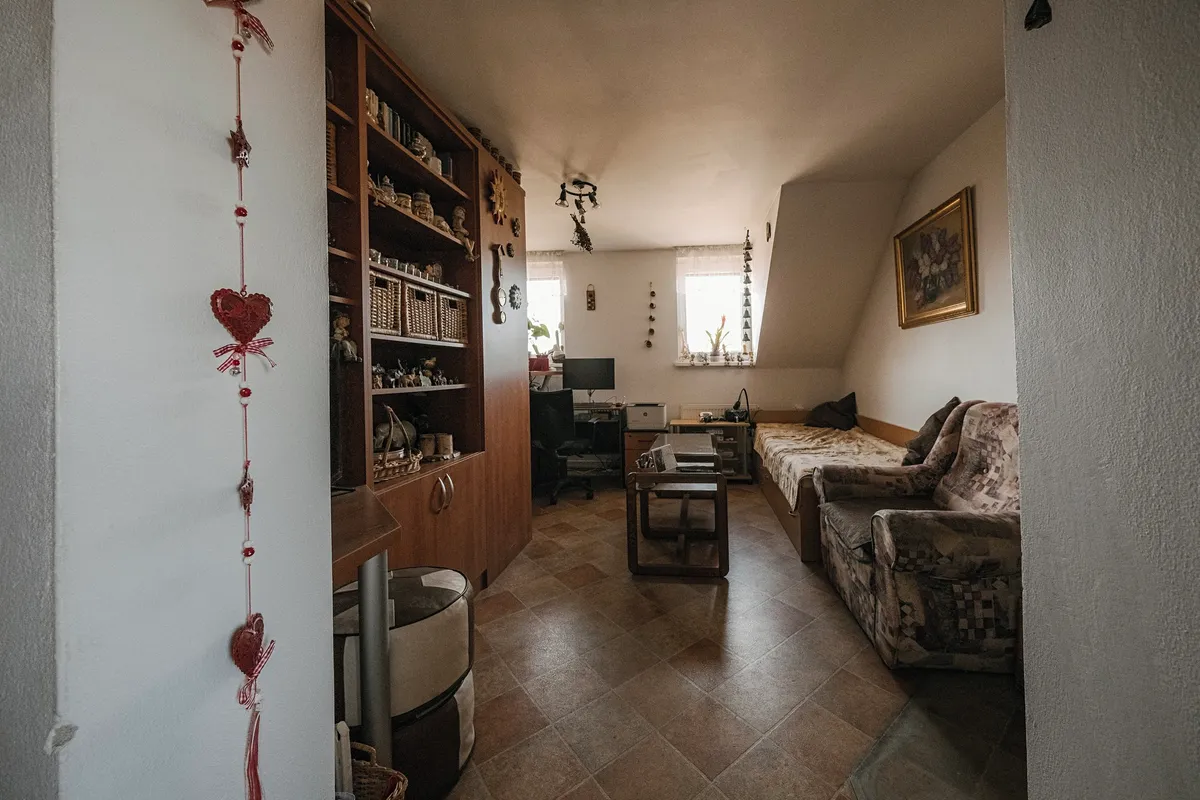 Prodej rodinného domu 280 m², pozemek 8138 m² — fotografie 23