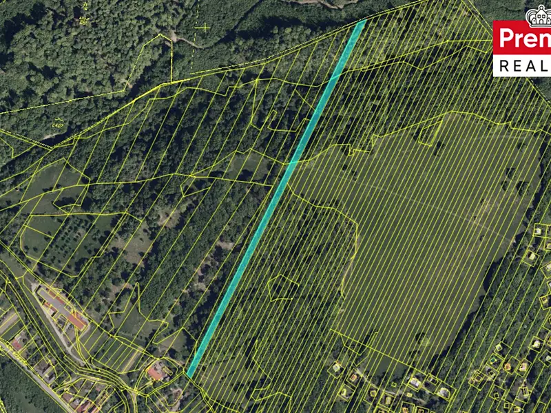 Prodej pozemku 9685 m², Nová Lhota – náhled fotky 3