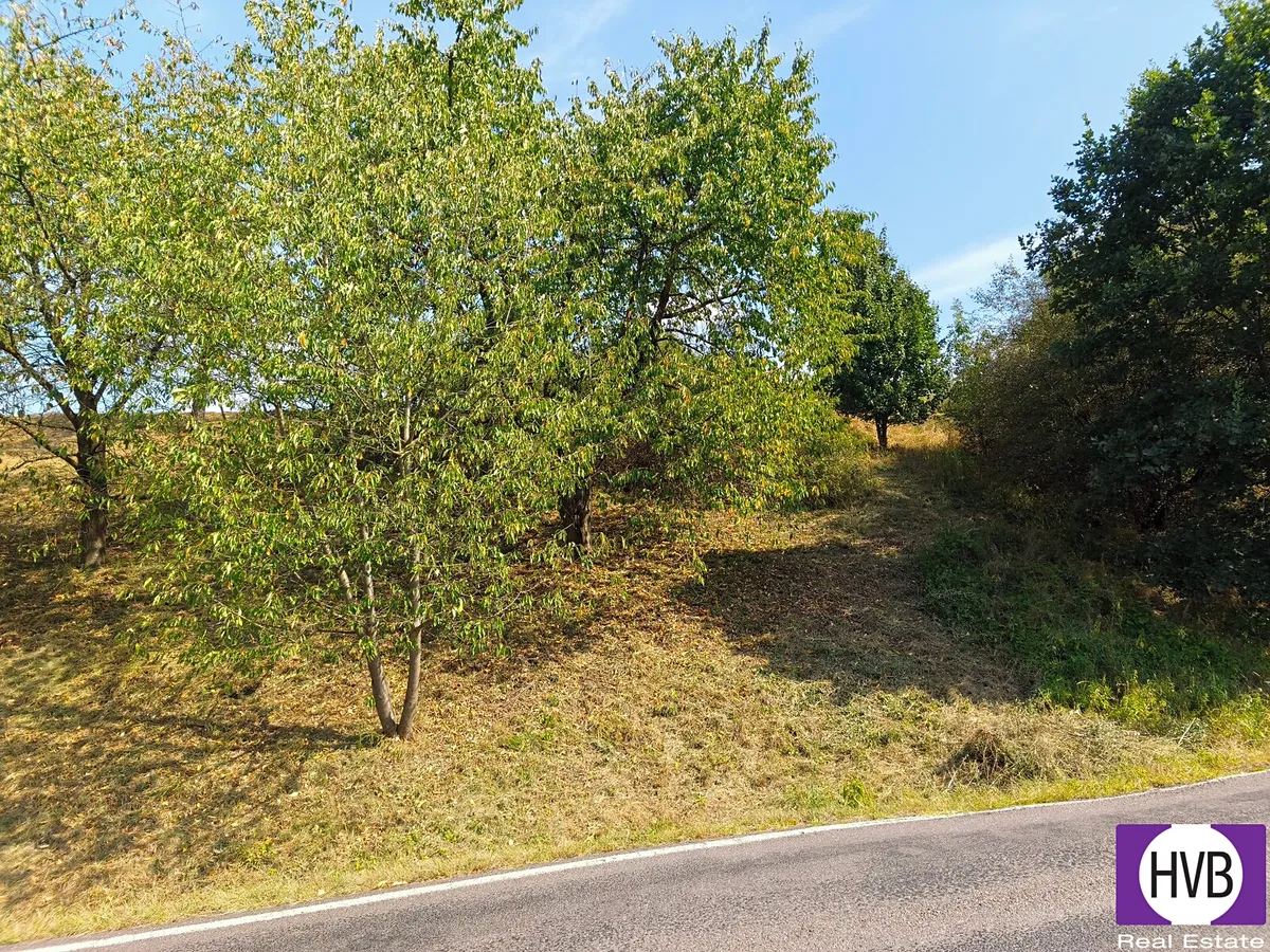 Prodej sadu, vinice 1229 m²