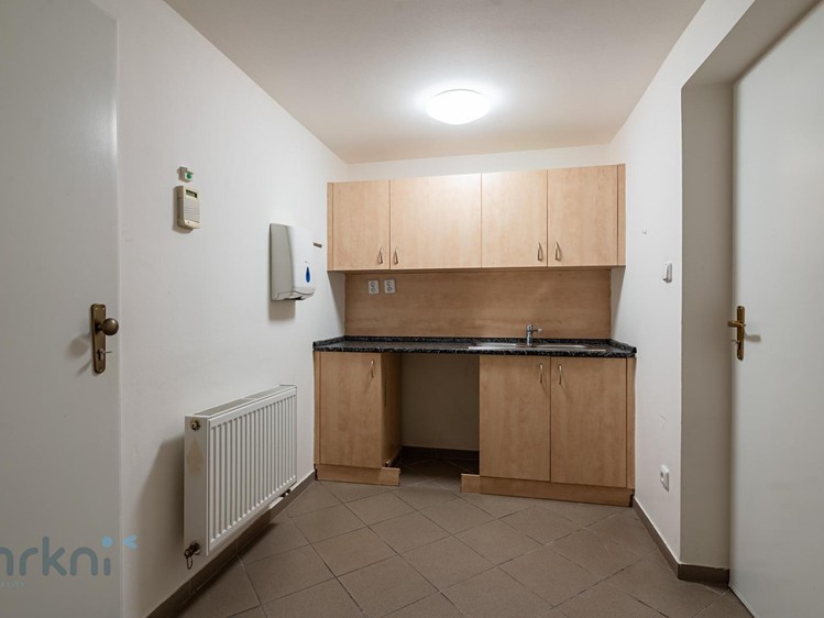 Prodej bytu atypical, 280 m² (30 z 46)