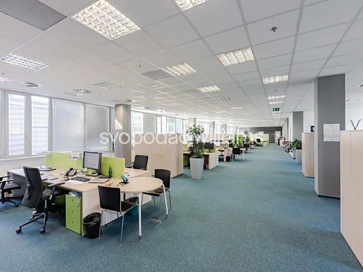 Pronájem komerčního prostoru, 898 m² (8 z 14)
