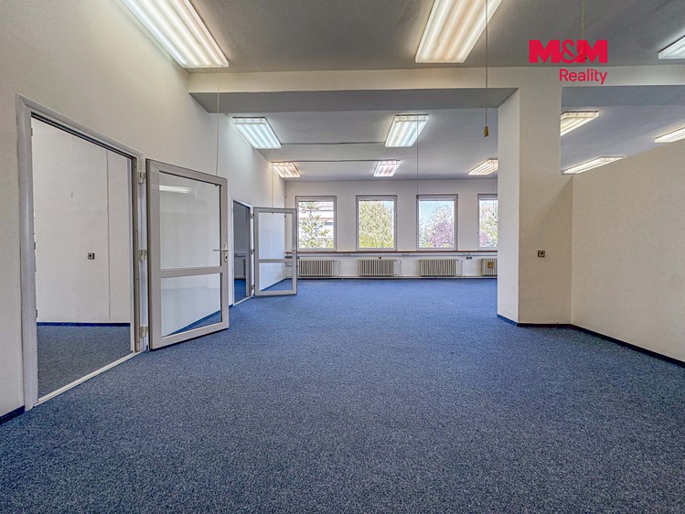 Pronájem komerčního prostoru, 311 m² (8 z 19)