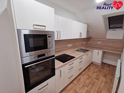 Pronájem bytu 1+1 45 m²